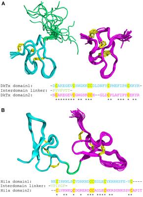 Secreted Cysteine-Rich Repeat Proteins “SCREPs”: A Novel Multi-Domain Architecture